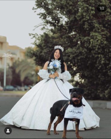 حقيقة زواج البلوجر هبة مبروك من كلب