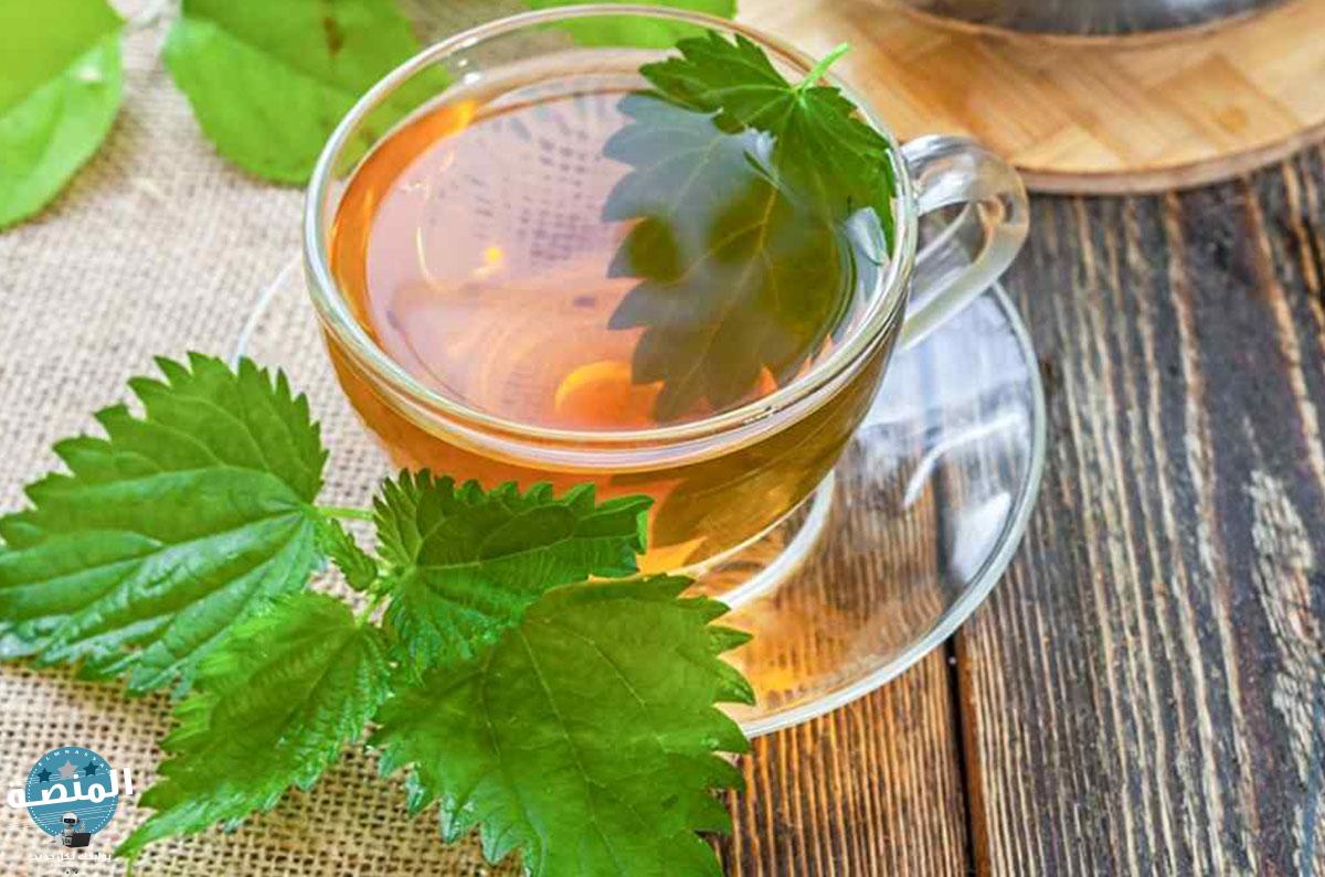 أهمية شاي القراص في علاج التهاب الكلي