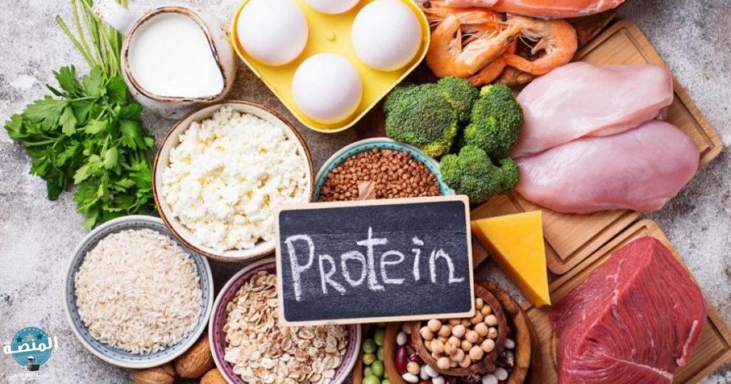 هل أطعمة البروتين هي أفضل أطعمة تزيد الرغبة عند النساء؟