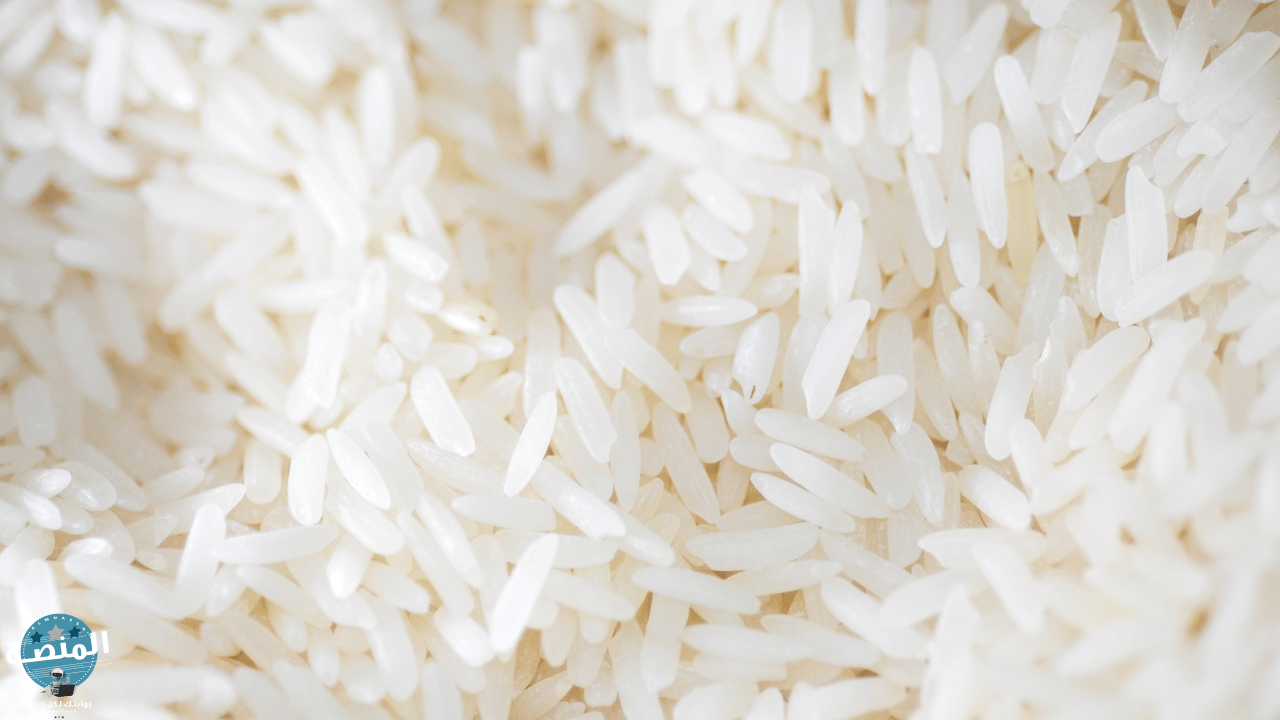 أرز أبيض أمريكي