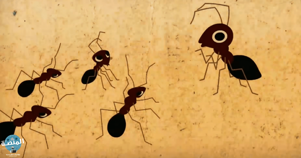 قصة سيدنا سليمان مع النمل