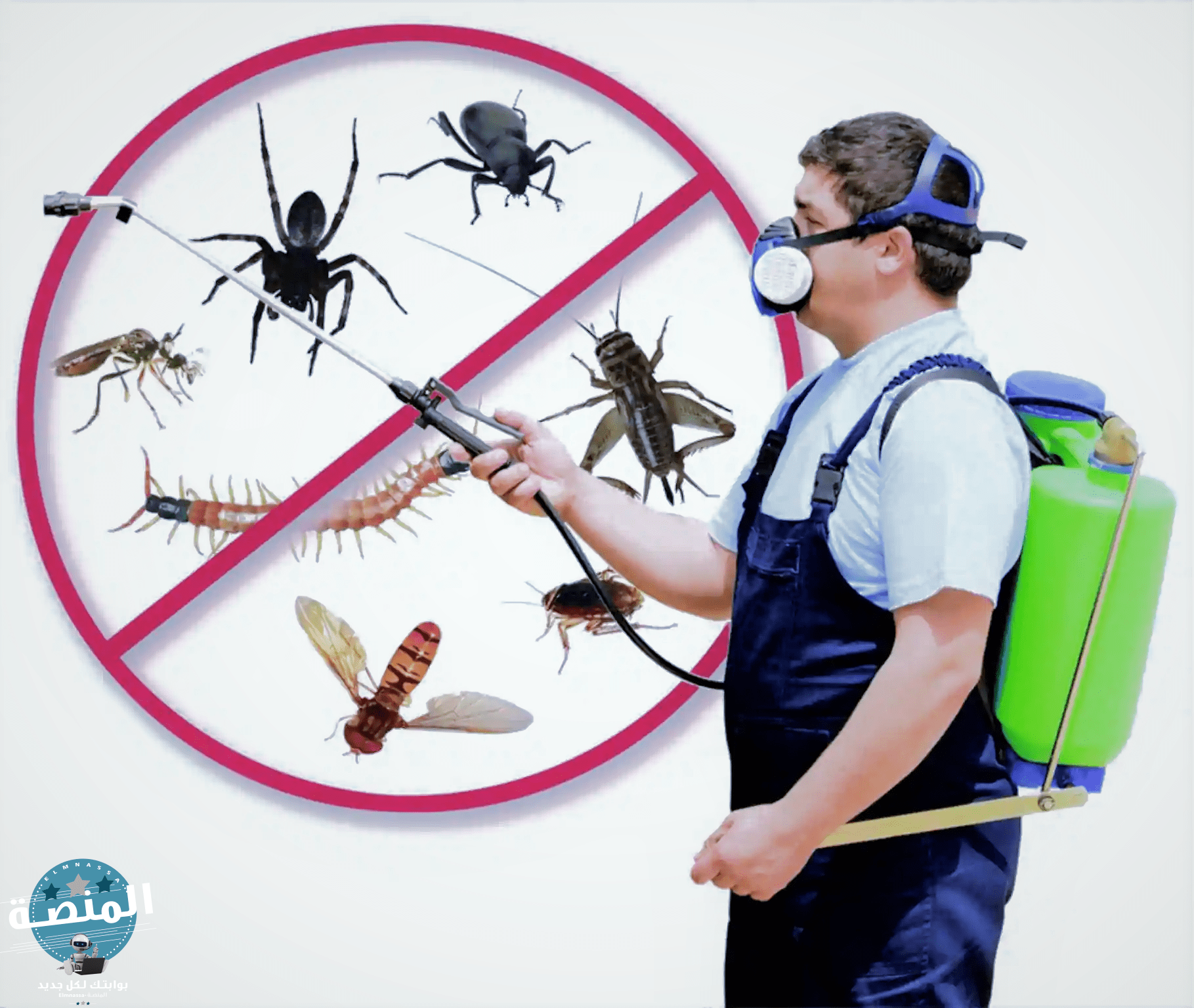 شركات مكافحة حشرات بالسعودية