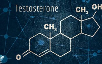 هرمون التستوستيرون اين يوجد