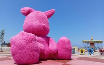 كيف يمكنك إتقان أساسيات تصوير الهاتف الذكي؟